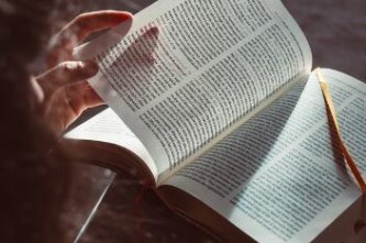 国企和央企的区别