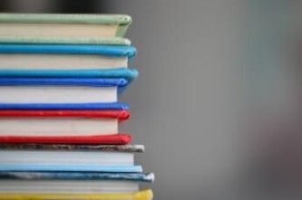 社保里个人缴纳是什么意思？